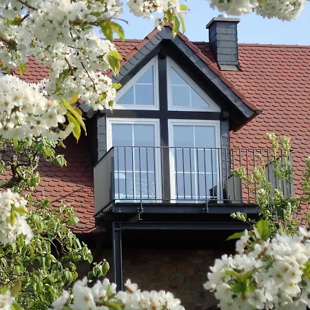 Willkommen In Unserem Kleinen Paradies * Venningen