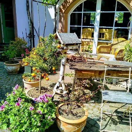 Willkommen In Unserem Kleinen Paradies Appartement Venningen