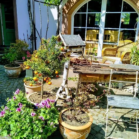 Willkommen In Unserem Kleinen Paradies Apartment Venningen