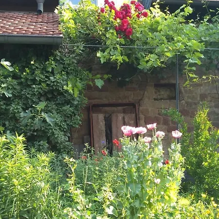 Willkommen In Unserem Kleinen Paradies