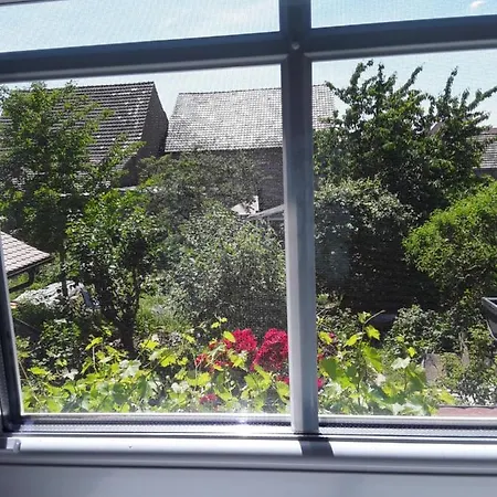 Appartement Willkommen In Unserem Kleinen Paradies Venningen