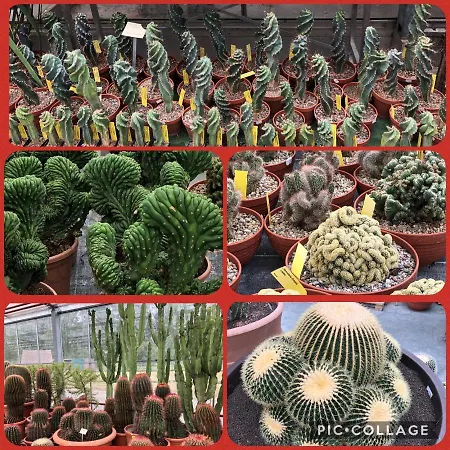 Willkommen In Unserem Kleinen Paradies Appartement