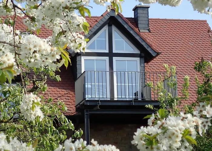 Willkommen In Unserem Kleinen Paradies * Venningen