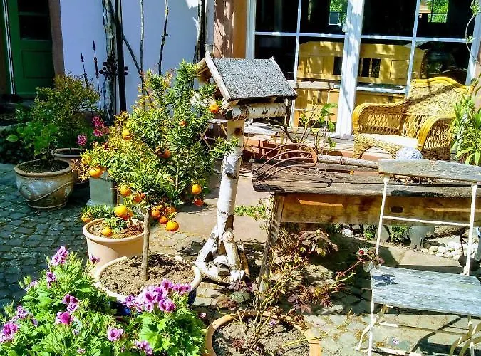 Willkommen In Unserem Kleinen Paradies Apartment Venningen