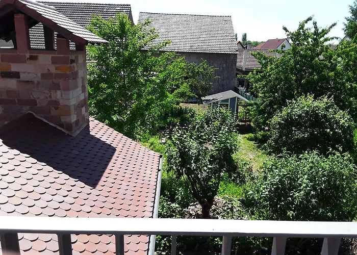 Willkommen In Unserem Kleinen Paradies Apartment Venningen