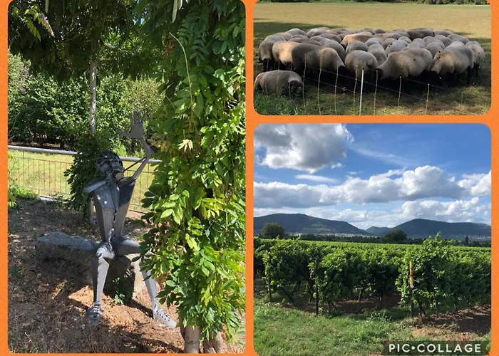 Willkommen In Unserem Kleinen Paradies Venningen