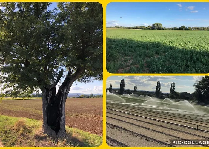 Willkommen In Unserem Kleinen Paradies Apartamento *