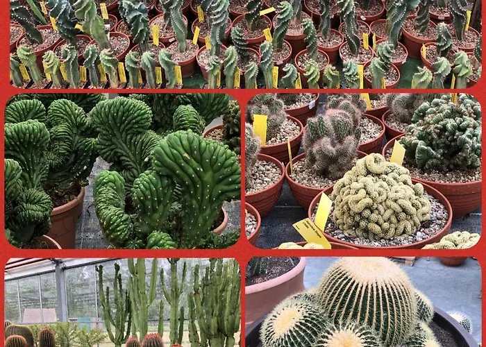 Willkommen In Unserem Kleinen Paradies Apartmán